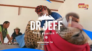 Dr. Jeff: Rocky Mountain Vet | Morning Blend