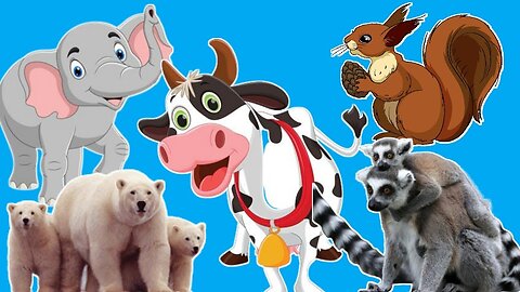 Fanimals Animals videos Sounds of wild animals soundRelax with familiar wild animals Dogs Cat