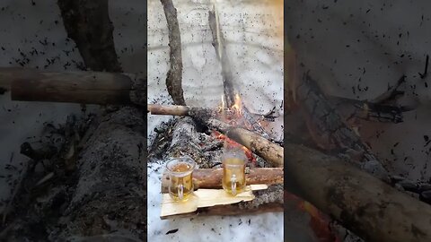 Winter Tea Brewing in the Hiking Forest #nature #brewingtea #canadiannature #snow #choppingwood