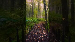 Relaxing Piano Music With Rain Sounds For Instant Relief From Stress,Sleep,Study & Meditation#shorts