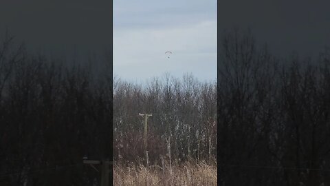 Paragliding in the woods ?