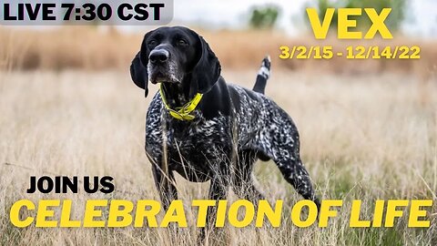 In Remembrance 0f Vex 3/2/15 - 12/14/22 - Celebration Of Life - Live Bird Dog Chat With Ethan & Kat