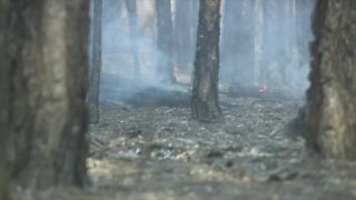 Indian River County brush fire threatens several homes, authorities say