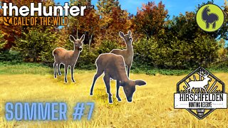 Sommer #7 Hirschfelden | theHunter: Call of the Wild (PS5 4K)