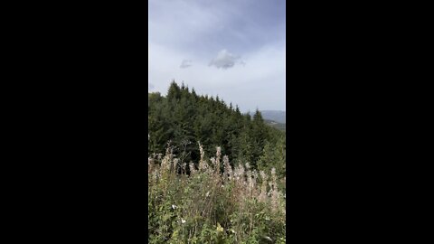 Troyan mountain pass 🏔🇧🇬