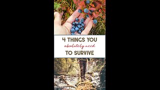 4 Things You Need To Know In Order To Survive