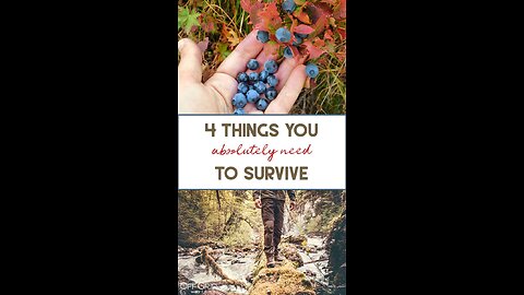 4 Things You Need To Know In Order To Survive