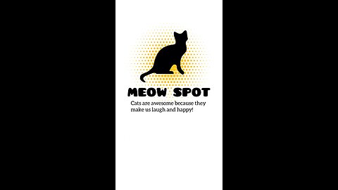Meow Spot 😍 Cat Funny Videos 😍