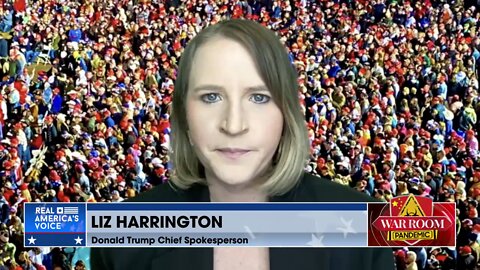 Liz Harrington: The Establishment Has Failed To Take Down President Trump For ‘7 Years’