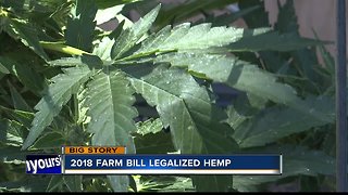 Highway Hemp Bust: Will laws change?