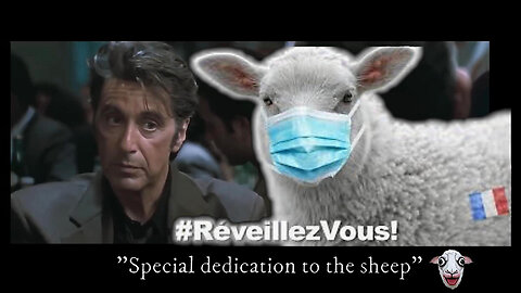 A malin,malin et demi... Dédicace spéciale aux "moutons" (Hd 720)