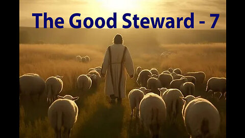 The Good Steward - 7