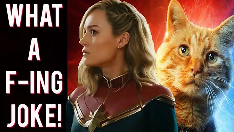 The Marvels REDEEMS Captain Marvel by making her a cat lady! MCU says many women can relate!