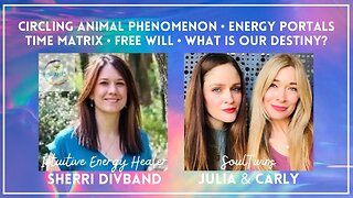 Circling Animal Phenomenon, Energy Portals, Time Matrix & Destiny w/ Sherri Divband, Carly & Julia