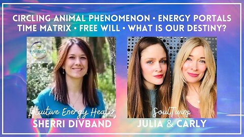 Circling Animal Phenomenon, Energy Portals, Time Matrix & Destiny w/ Sherri Divband, Carly & Julia