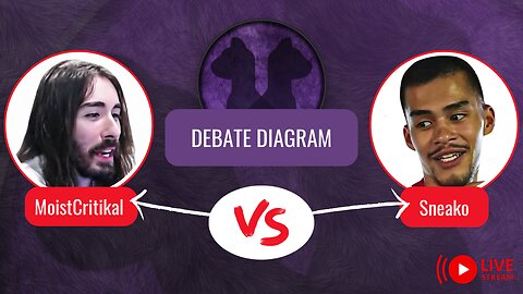 Is Moist Critikal Wrong? Debate Diagram: Sneako vs Moistcritikal