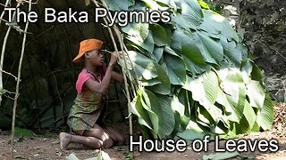 Amazing Home of Sticks and Leaves - Baka Pygmy Hut