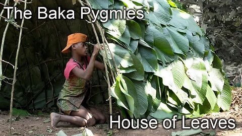 Amazing Home of Sticks and Leaves - Baka Pygmy Hut