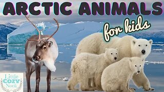 Arctic Animals For Kids- Educational READ ALOUD for Children