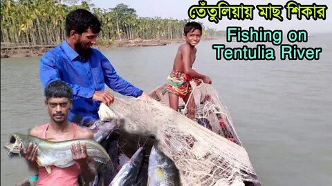 Fishing on Tentulia River/তেতুলিয়া নদীতে মাছ শিকার/ Fish of river land