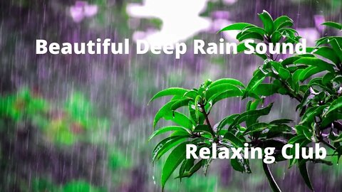 Beautiful Deep Rain Sound for Stress Relief || Rain Sound,Relaxing Music