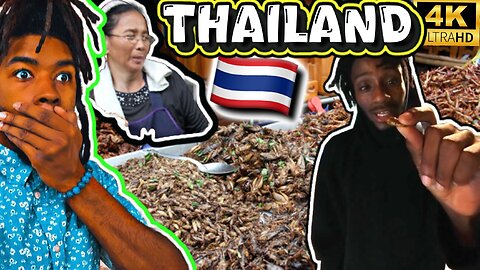 Thailand Bug Feast: The Ultimate Bugs Eating Experience!