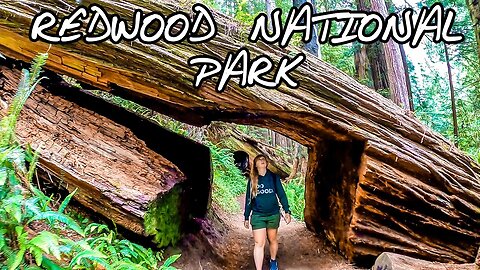 Things to do in Redwood National and State Parks
