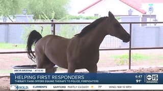 Equine Therapy for first responders and veterans