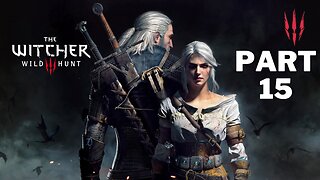 Witcher 3 Wild Hunt part 15