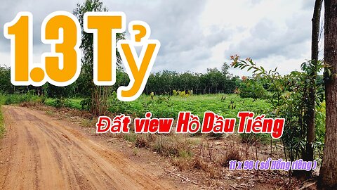 Đất Dầu Tiếng | bán gấp lô đất 11 x 98 ( hơn 1078 M2) view Hồ giá rẽ#554