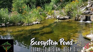 Aquascape Ecosystem Pond - A deep dive exploring detailed design aspects.