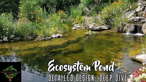 Aquascape Ecosystem Pond - A deep dive exploring detailed design aspects.