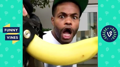 BEST of KingBach Vine Compilation