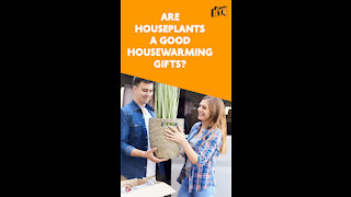Top 3 Useful Housewarming Gift Items For New Homeowners