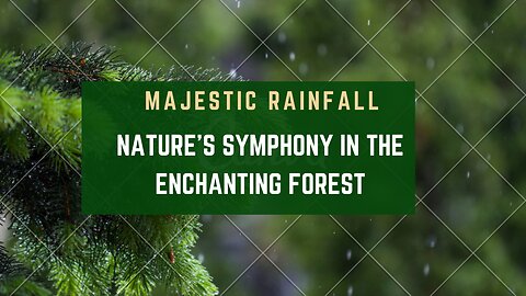 Majestic Rainfall: Nature's Symphony in the Enchanting Forest