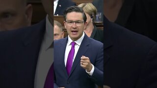 Pierre Poilievre Makes A Fool Of Freeland #shorts