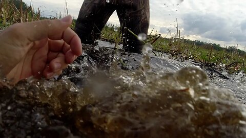 I Fall into a Gator Infested swamp {catch and cook}