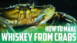 Whiskey from CRAB WATER?! | The Whiskey Dictionary