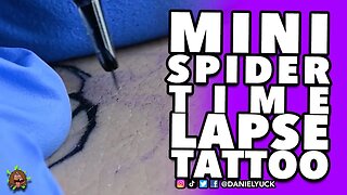 Mini Spider Timelapse Tattoo