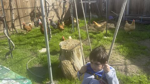 Swinging with my chicken