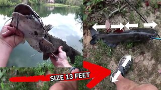 The biggest farm pond channel catfish yet!! Southern Illinois farm pond bass and channel cat fishing