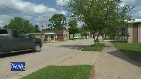 11-year-old girl saves little brother from dog attack in Shawano County