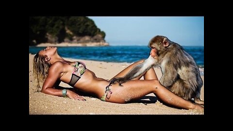 She gave a challange for monkey __ shorts funny videos __ monkey attack funny videos