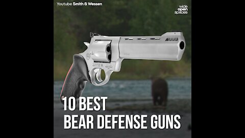 10 Best Bear Defense Guns