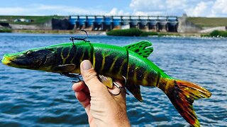 I Caught A Dinosaur On A Monster Pike Swim Bait!