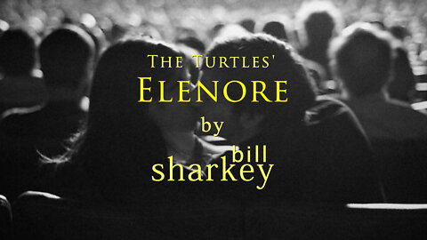 Elenore - Turtles, The (cover-live by Bill Sharkey)