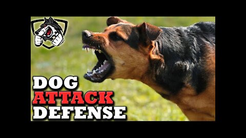 Self defense against dog attack. Learn how to defend yourself against agressive dog.