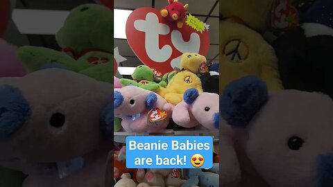 What Do You Think of the New Beanie Babies!? #beanie #ty