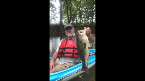 Big bass on a frog