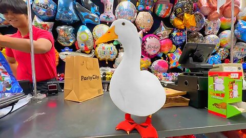 I took my duck to Party City 🎉🦆